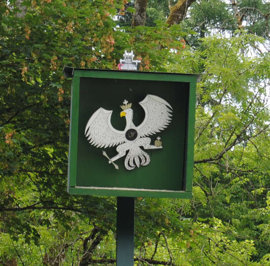 Königsvogel